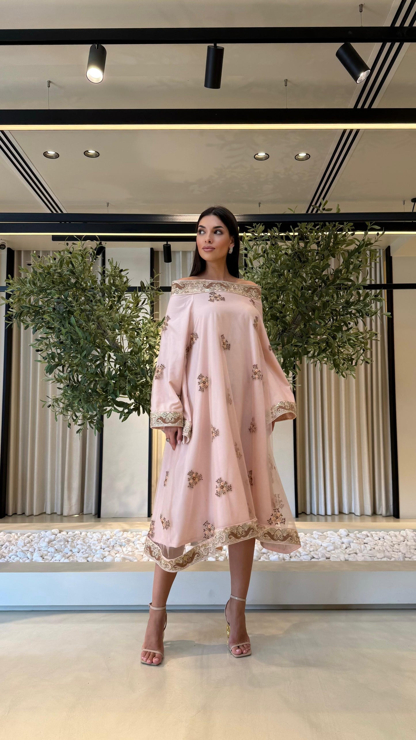 Offshoulders Tulle Jelwa Dress -Nude