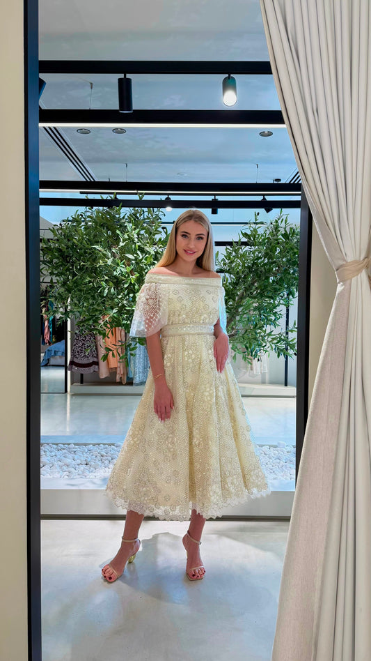 Midi fully embellished Jelwa Dress bridal- Pearl